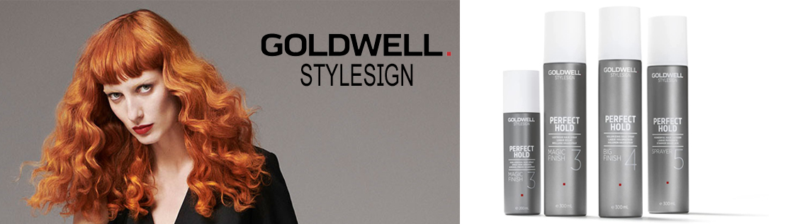 PERFECT HOLD PERFECT HOLD