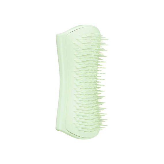 PET TEEZER Puppy Brush Green/Green